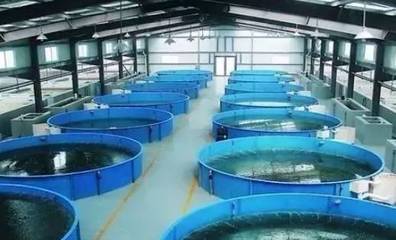 既要養好魚，又要護生態 一文秒懂《工廠化水產養殖系統》安裝指南